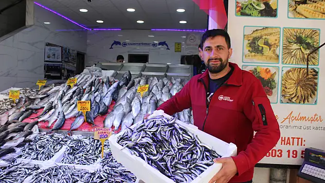 Merak edilen Hamsi 'iri mi?' sorusuna yanıt geldi !