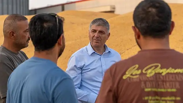 Mısırda 1 milyon 135 bin ton rekolte bekleniyor