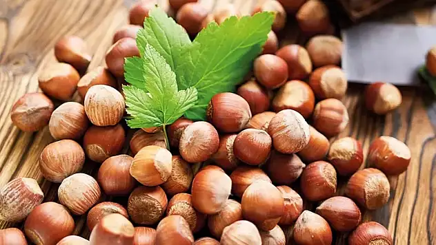 Murat Çan: 'Yabancı bir firma Türk fındığına operasyon çekiyor'