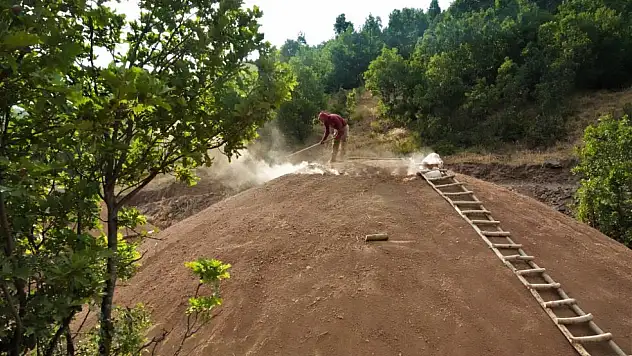 Muş dağlarında mangal kömürü üretimi