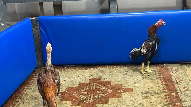 Müşteri gibi girdiği kahvehaneye şok baskın