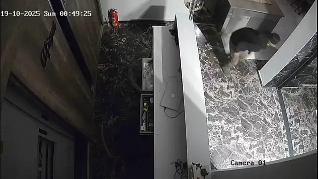 O hırsız bu defa lokantaya girdi