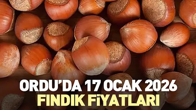 Ordu'da 17 Ocak 2026 Fındık Fiyatları: Serbest piyasada yükseliş sürüyor