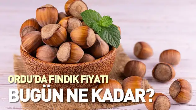 Ordu'da Fındık Fiyatları 14 Kasım 2025