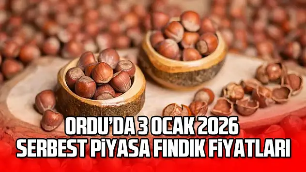 Ordu'da Fındık Fiyatları 2026'ya Güçlü Girdi