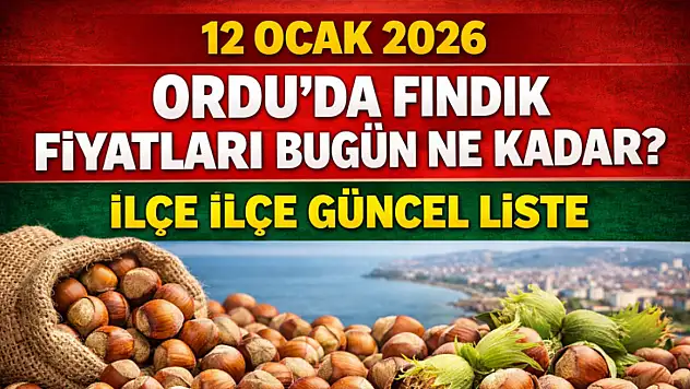 Ordu'da Fındık Fiyatları Bugün Ne Kadar? 12 Ocak 2026 İlçe İlçe Güncel Liste