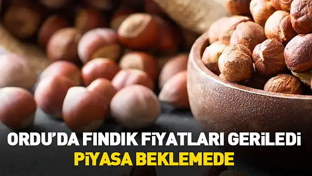 27 Ocak 2026 Ordu'da Fındık Fiyatları | Ordu ve İlçelerinde Fındık Bugün Ne Kadar?