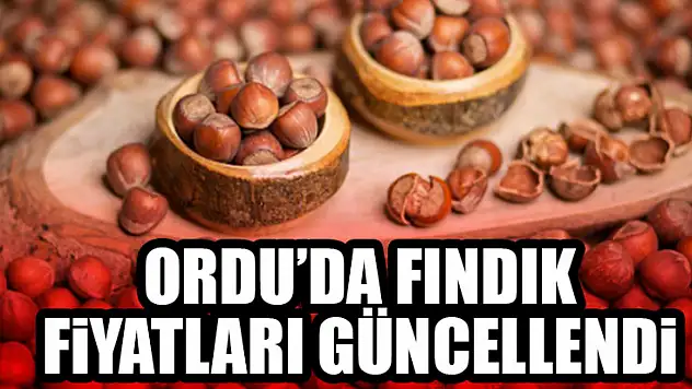Ordu'da Fındık Fiyatları Güncellendi