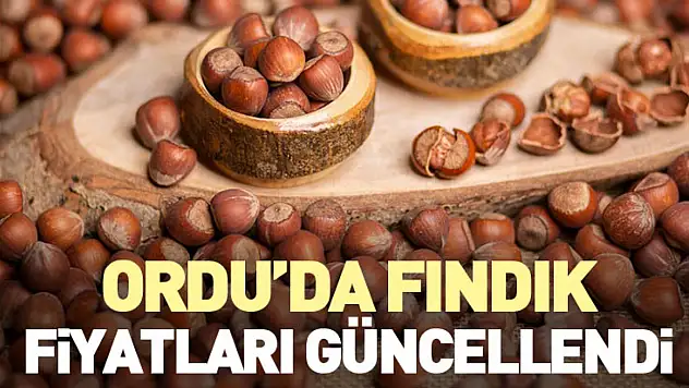 Ordu'da Fındık Fiyatları Güncellendi
