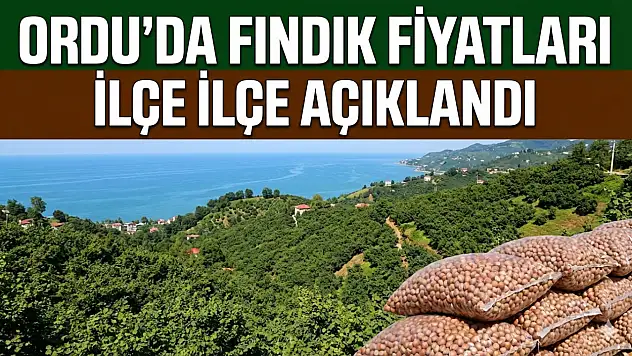 Ordu'da Fındık Fiyatları İlçe İlçe Açıklandı
