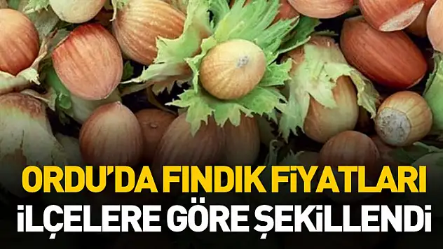 Ordu'da Fındık Fiyatları İlçelere Göre Şekillendi