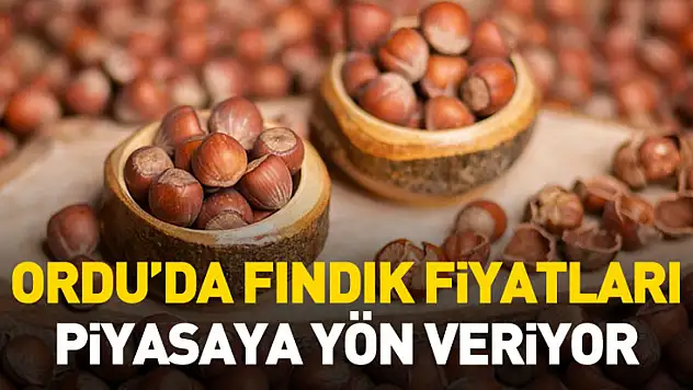Ordu'da Fındık Fiyatları Piyasaya Yön Veriyor
