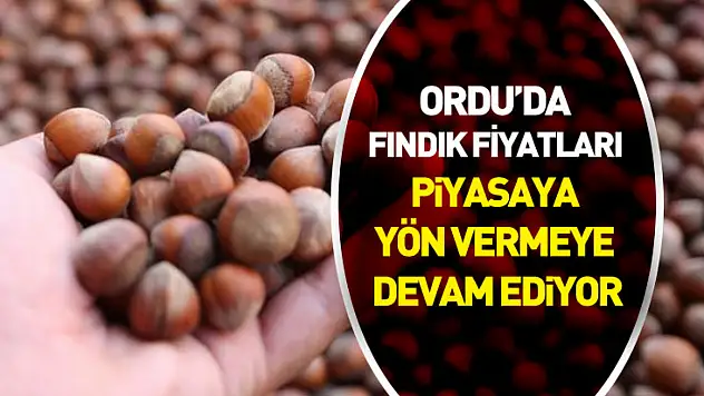 Ordu'da Fındık Fiyatları Piyasaya Yön Vermeye Devam Ediyor