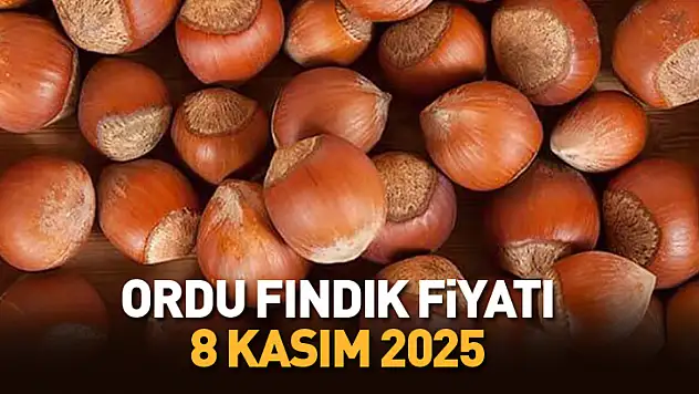 Ordu'da Fındık Fiyatları Tırmanışta: 8 Kasım 2025 Güncel Randıman Listesi
