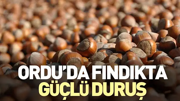 Ordu'da Fındıkta Güçlü Duruş