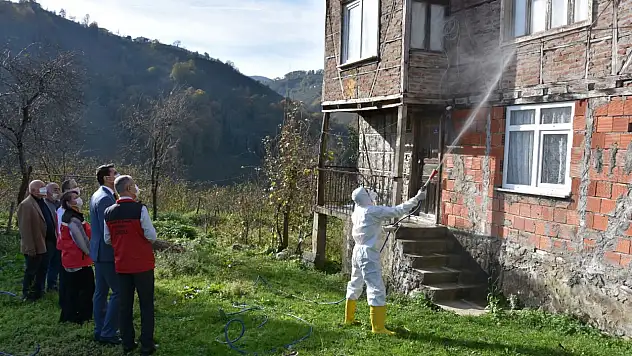 ordu'da kahverengi kokarca ile mücadelede 50 bin kışlak ilaçlandı