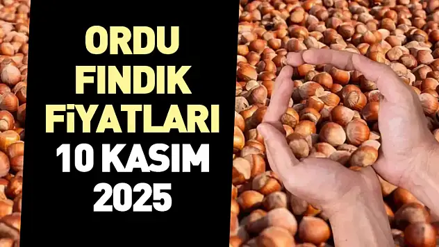 Ordu Fındık Fiyatları 10 Kasım 2025: 56 Randıman 335 TL'ye Dayandı!