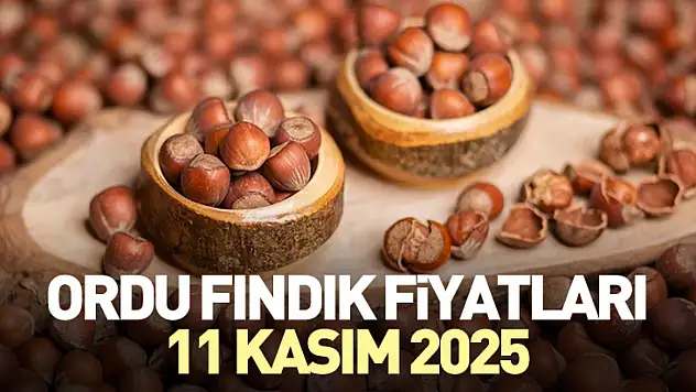 Ordu Fındık Fiyatları 11 Kasım 2025