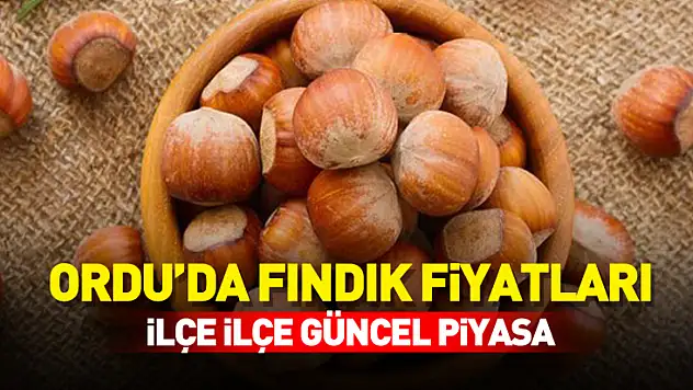 Ordu Fındık Fiyatları 22 Kasım 2025 | İlçe İlçe Güncel Piyasa