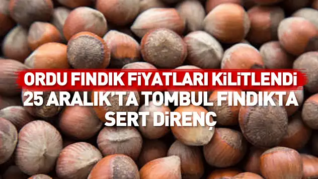 Ordu Fındık Fiyatları Kilitlendi | 25 Aralık'ta Tombul Fındıkta Sert Direnç
