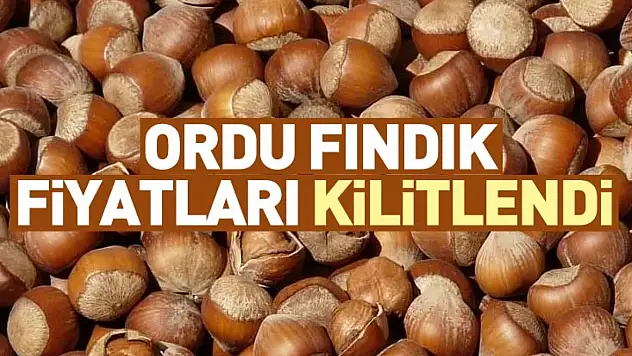 Ordu Fındık Fiyatları Kilitlendi | 27 Aralık'ta Tombul Fındıkta Sert Duvar