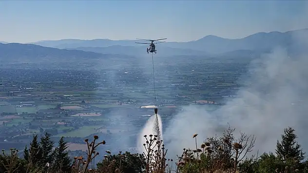 Orman işçisi Ragıp Şahin şehit oldu
