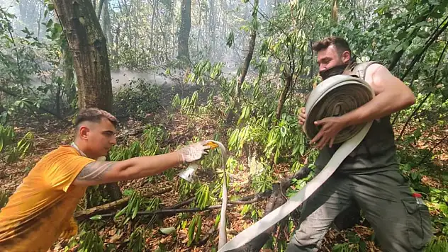 Orman yangını kontrol altında