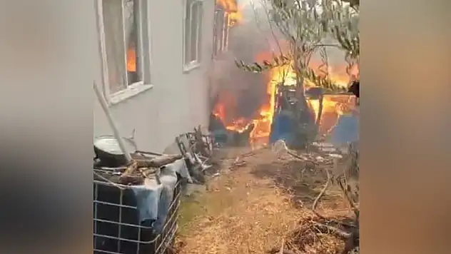 Orman yangını köye indi