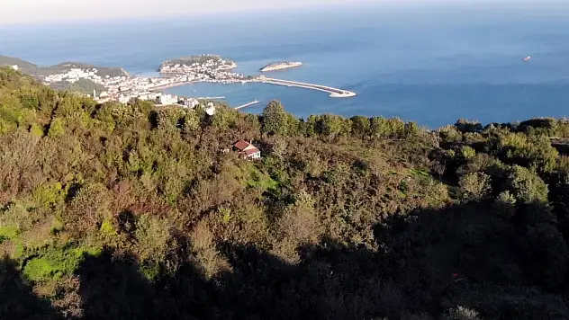 Orman yangınını önlemek için uzmandan uyarılar