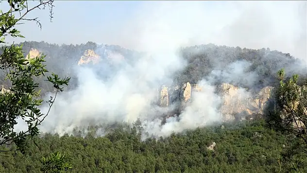 Orman yangınlarına müdahaleler sürüyor