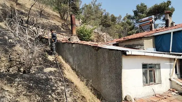 Otluk alanda çıkan yangın panikletti