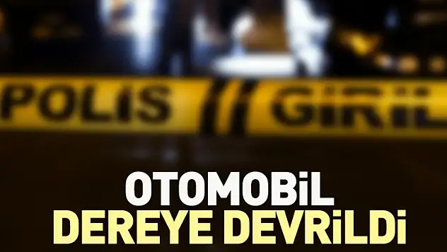 Otomobil Dereye Devrildi