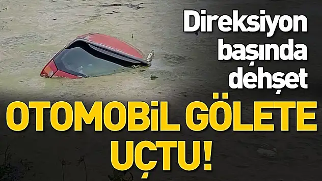 Otomobil Sulama Göletine devrildi