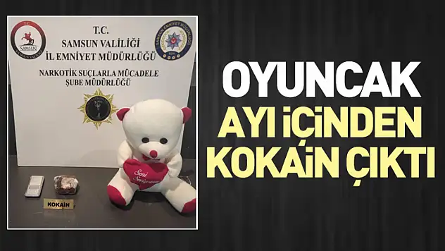 Oyuncak Ayı İçinden Kokain Çıktı