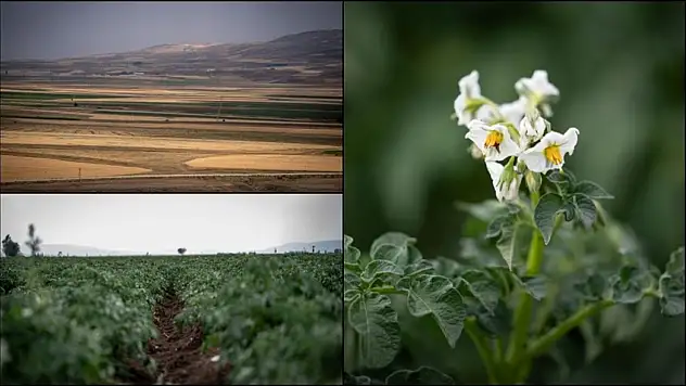 Pasinler Ovası'na 'can suyu' olacak
