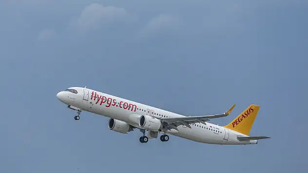 Pegasus 'Yılın İşvereni' seçildi