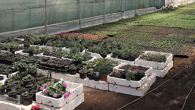 Rekabet soruşturması başlatıldı