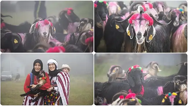 Rengarenk süsledikleri hayvanlarıyla göç etti