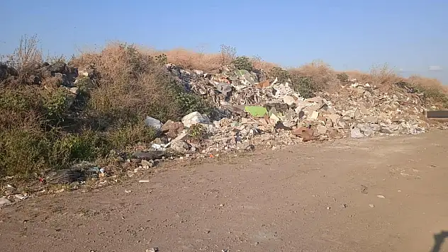 Sahil Çöp Kamyonlarına Kurban ediliyor