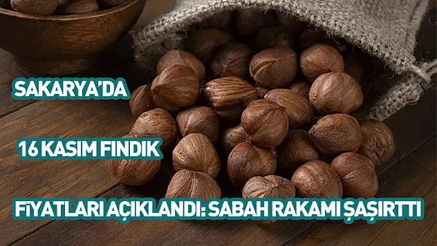 Sakarya'da 16 Kasım fındık fiyatları açıklandı: Sabah rakamı şaşırttı