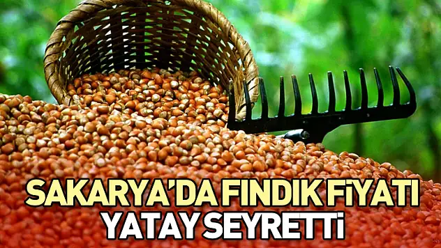 Sakarya'da fındık fiyatı yatay seyretti