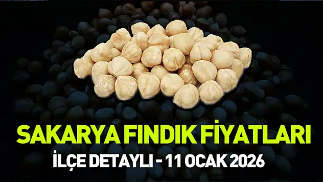 Sakarya'da Fındık Fiyatları Açıklandı (11 Ocak 2026) - Hendek, Karasu, Akyazı