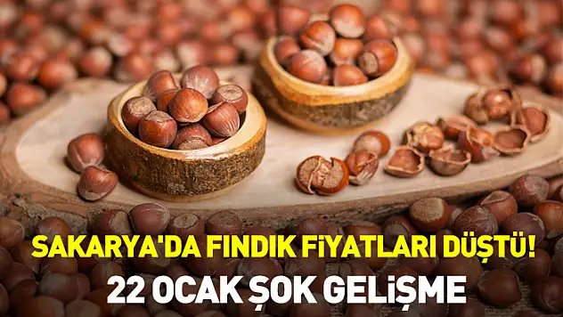 Sakarya'da Fındık Fiyatları Düştü! 22 Ocak Şok Gelişme