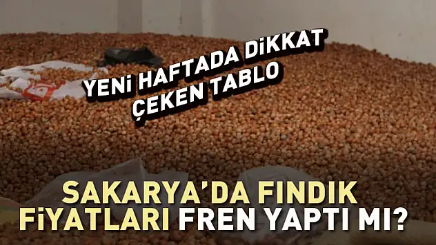Sakarya'da Fındık Fiyatları Fren Yaptı mı? Yeni Haftada Dikkat Çeken Tablo
