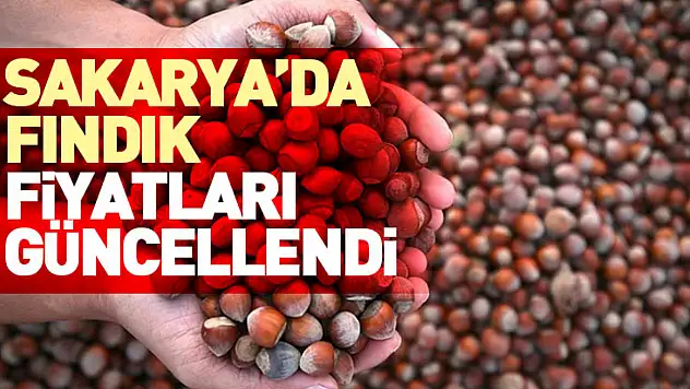 Sakarya'da Fındık Fiyatları Güncellendi