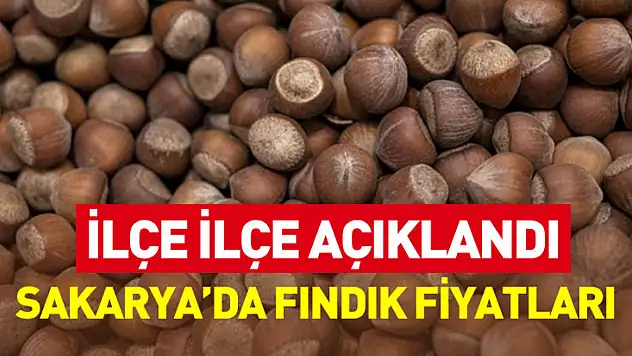 Sakarya'da Fındık Fiyatları İlçe İlçe Açıklandı