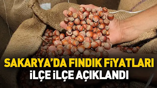 Sakarya'da Fındık Fiyatları İlçe İlçe Açıklandı
