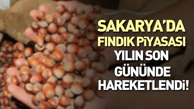 Sakarya'da Fındık Piyasası Yılın Son Gününde Hareketlendi! İlçelerde Yeni Yıl Öncesi Son Tablo