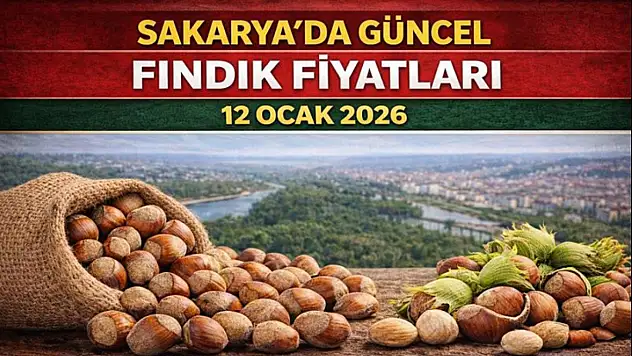 Sakarya'da Güncel Fındık Fiyatları - 12 Ocak 2026