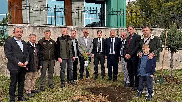 Salıpazarı'nda fidanlar toprakla buluştu